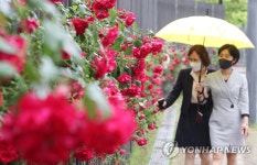 여심 사로잡은 장미