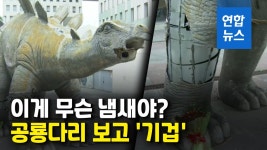[영상] 휴대전화 주우려다…공룡 조형물 안에서 남성 시신 발견