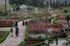 꽃놀이 즐기는 시민들