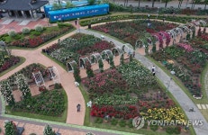 섬진강기차마을의 장미공원