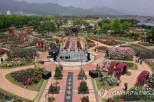 곡성섬진강기차마을의 장미공원