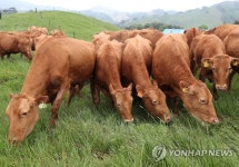 싱싱하네