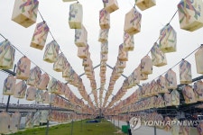 강릉단오제 행사장 소원등 설치 한창