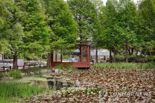 도심 속 힐링 공간 전주수목원