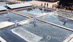 올해 첫 천일염 수확합니다