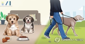 김해시 반려동물 영업장 운영실태 점검…한 달간 261곳 대상