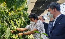 전남농협, 신소득 아열대농산물 재배농가 현장경영