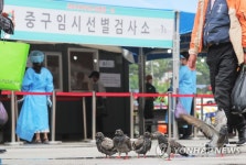 선별진료소 앞 비둘기 목욕탕