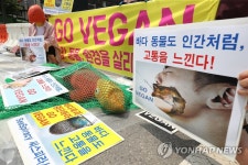 바다 파괴 중단과 비건 채식을 위한 퍼포먼스