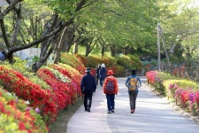 광주 동구, 무등산 동적골에 사계절 꽃피는 정원 조성
