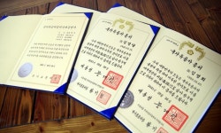 6·25전쟁 참전했다 숨진 함안 3형제…71년 만에 세상에 빛 봤다