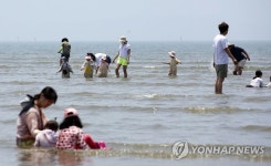 태안 몽산포해변서 물놀이 즐기는 나들이객