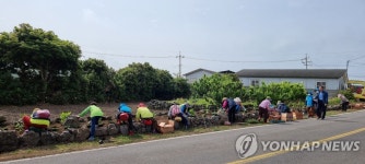 쓰레기 투기 공터가 꽃밭으로 제주 마을정원 조성 활기