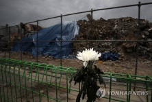 참사 현장의 흰 국화
