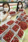 농협 하나로마트, 새콤달콤 체리 판매