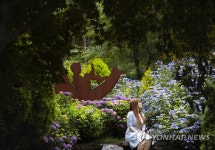 구례 수목원 물들인 수국