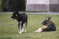 바이든, 퍼스트도그 챔프와 이별…평화롭게 세상 떠나