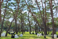 솔밭 그늘에서 달콤한 쉼