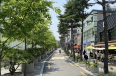 서울로-만리재로 잇는 서울로사잇길 정비 완료