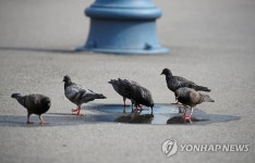 도심 속 오아시스