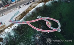 동해의 새로운 볼거리 도째비골 스카이밸리 내일 개장