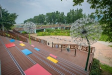 5년 가꾼 보람…문화휴식공간 거듭난 증평 미루나무숲