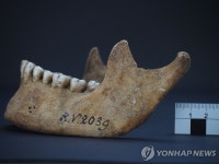 5천년전 고대인 유해서 페스트균 발견…