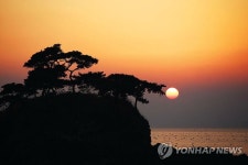 부안 솔섬 전북도 기념물 지정