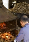 [酒먹방] 여름엔 이열치열, 기장 짚불 꼼장어