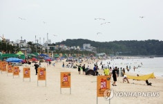 서해안 최대 대천해수욕장 개장