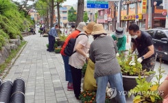 꽃향기 가득 춘천 후평3동 꽃정원 조성 추진