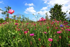 [여기 어때] 거창韓거창