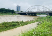 장맛비로 불어난 전주천