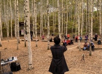 산림청 숲속에서 시원하게 문화공연 즐기세요