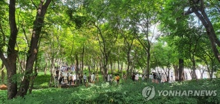국채보상운동기념공원에 차려진 선별진료소