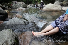 원효계곡에서 피서