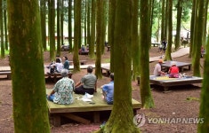 숲 속 피서 최고