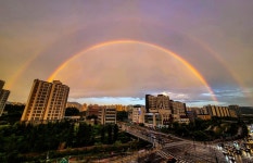 [사진톡톡] 무지개 너머 어딘가에