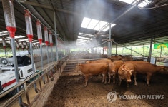 폭염에 가축 폐사 우려