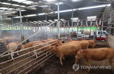 축사 온도 낮추기 진땀
