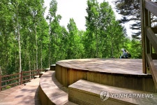 속삭이는 자작나무 숲 전망대