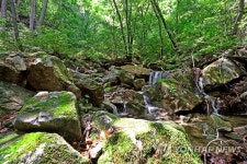 탐험코스 옆 계곡