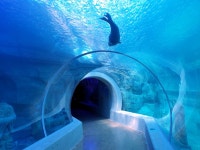 경남 첫 대형수족관 사천 아라마루 아쿠아리움 정식 오픈