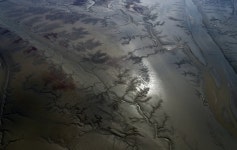 한국의 갯벌, 우리나라 15번째 세계유산 등재