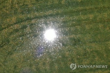 태양을 품은 소금밭