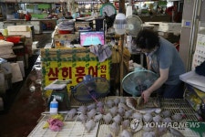 가자미와 올림픽