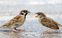 빨리 밥 주세요