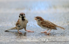 빨리 밥 주세요