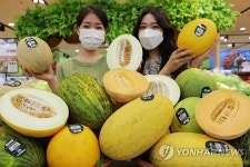 이색 메론 5종 맛보세요