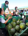 부산 엄궁농산물도매시장 수박나눔행사